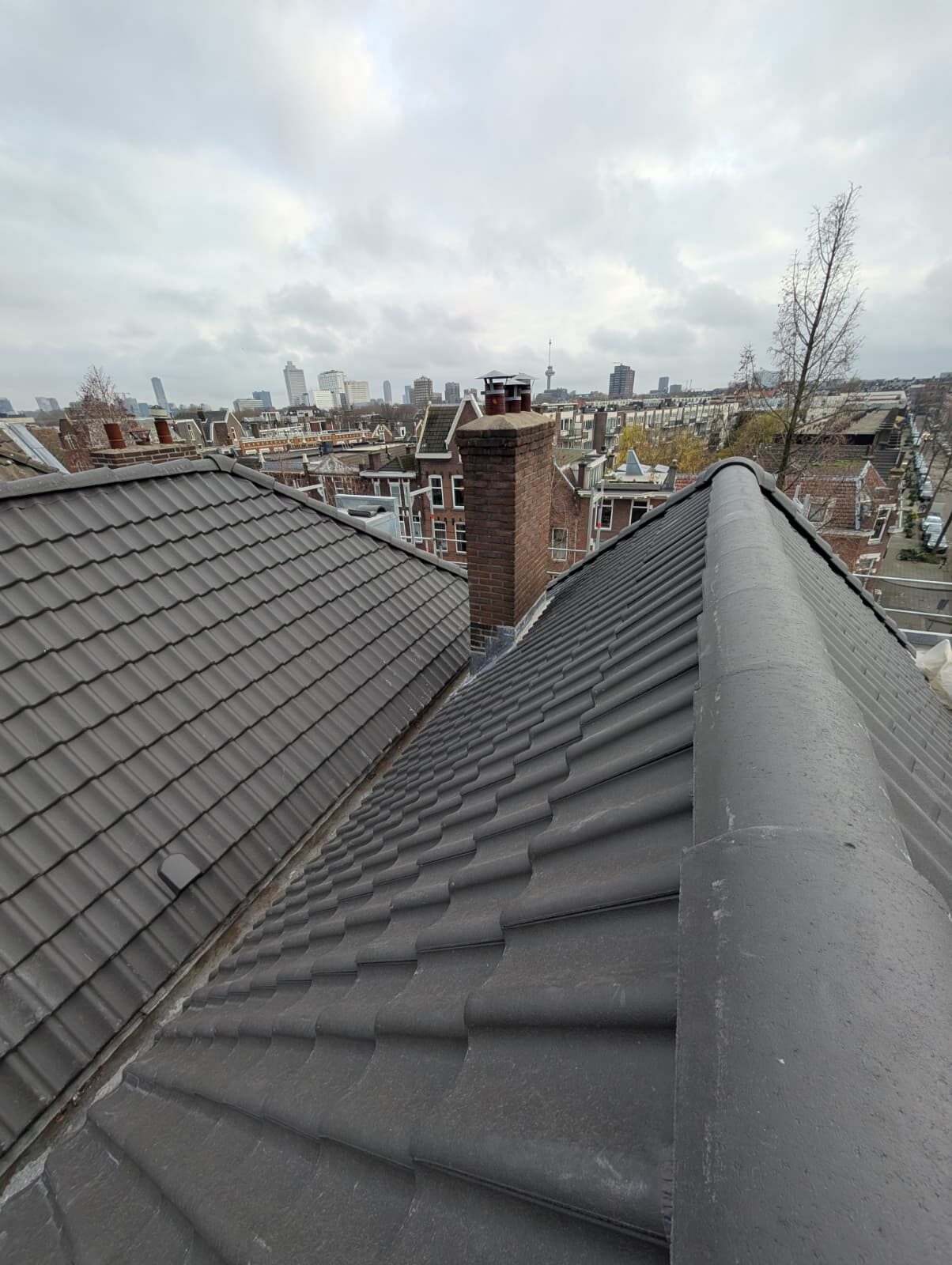 Pannendak in Rotterdam met Euromast en skyline op de achtergrond